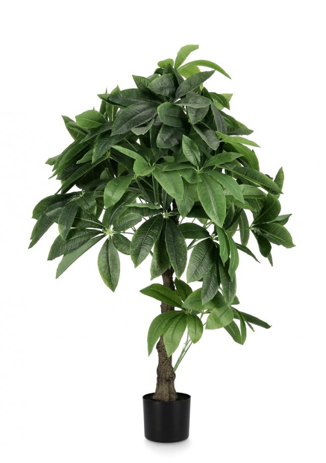 Pianta Aquatica con Vaso 280F H120 (2 Pezzi) - TRANQUILO