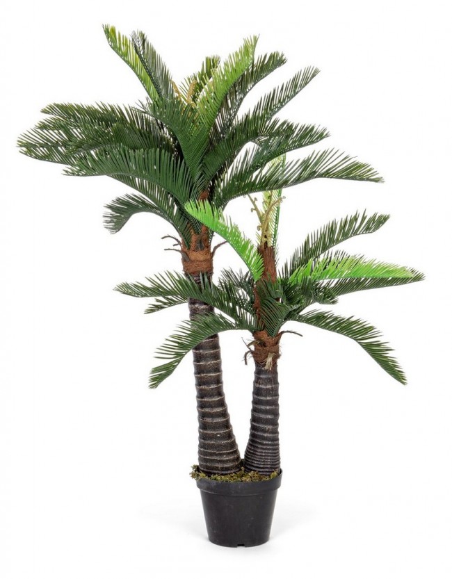 Pianta con Vaso 36Foglie 2Tr H150 (2 Pezzi) - EDEN