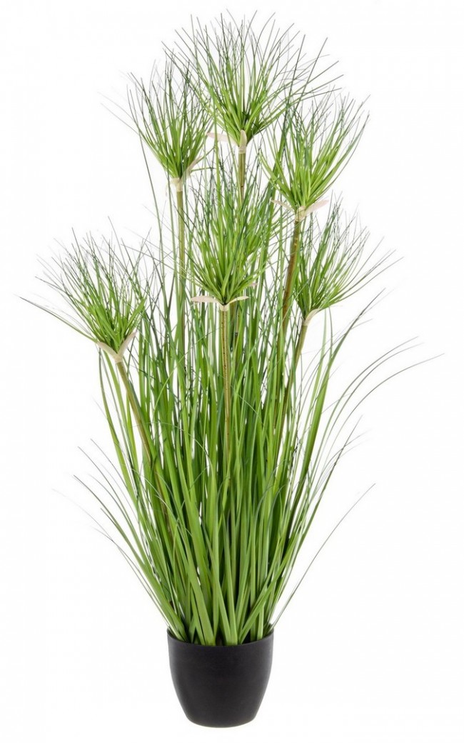 Pianta DeserVerde con Vaso X7F H90 (6 Pezzi) - ECLISSE