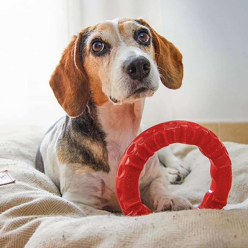 Image of Ferplast Giocattolo da Masticare per Cani Smile Large 20x18x4 cm Rosso