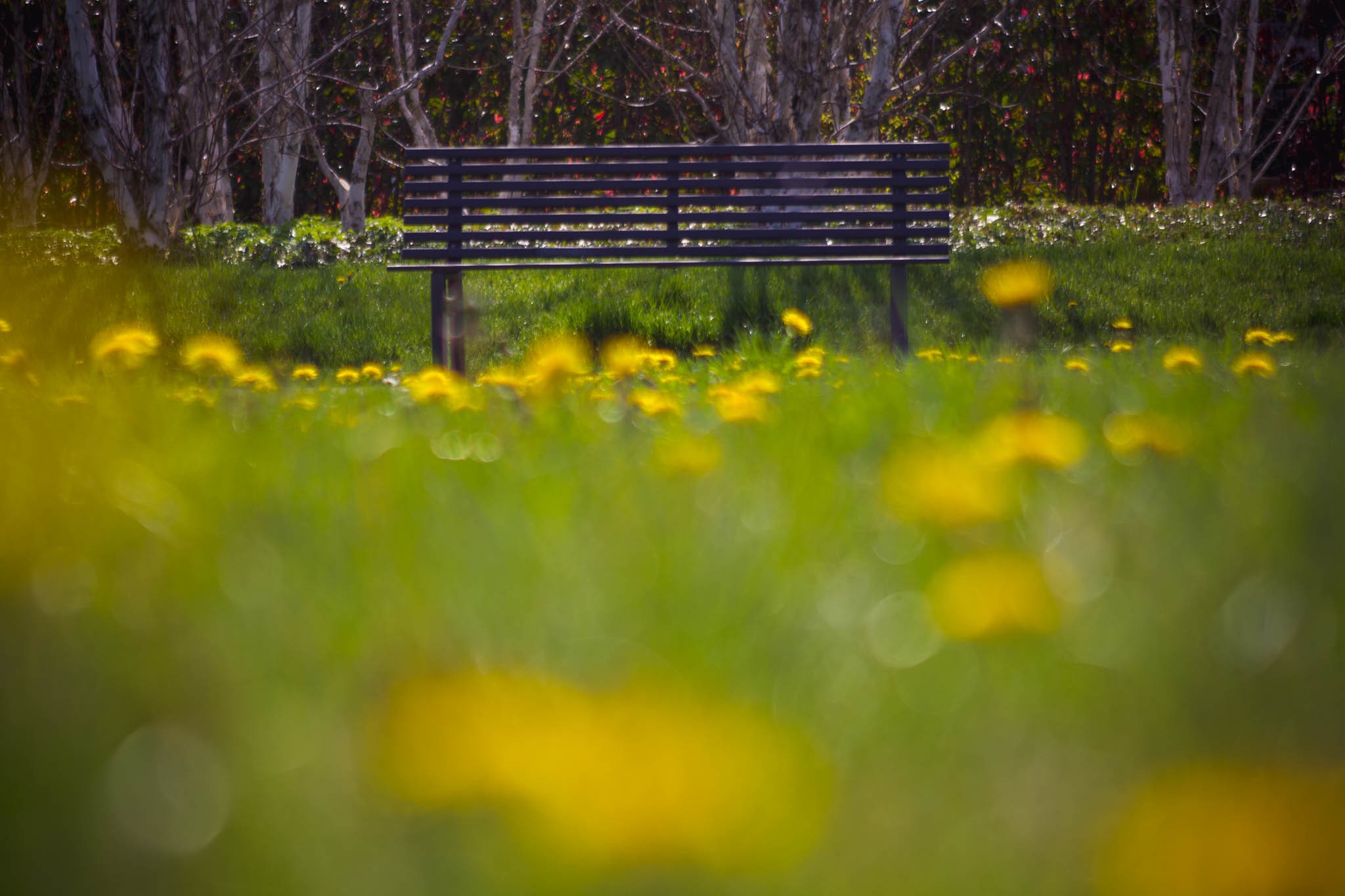ANDRYS - Panchina da Esterno in Acciaio Zincato a Freddo con Verniciatura in Polvere, Colore Nero Dimensioni: L 190 cm - P 42 kg, Finitura: Verniciato