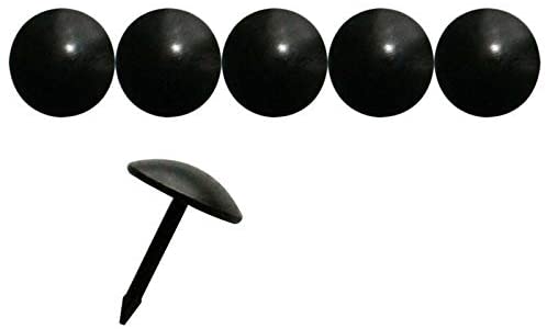 Foto 4 di 8