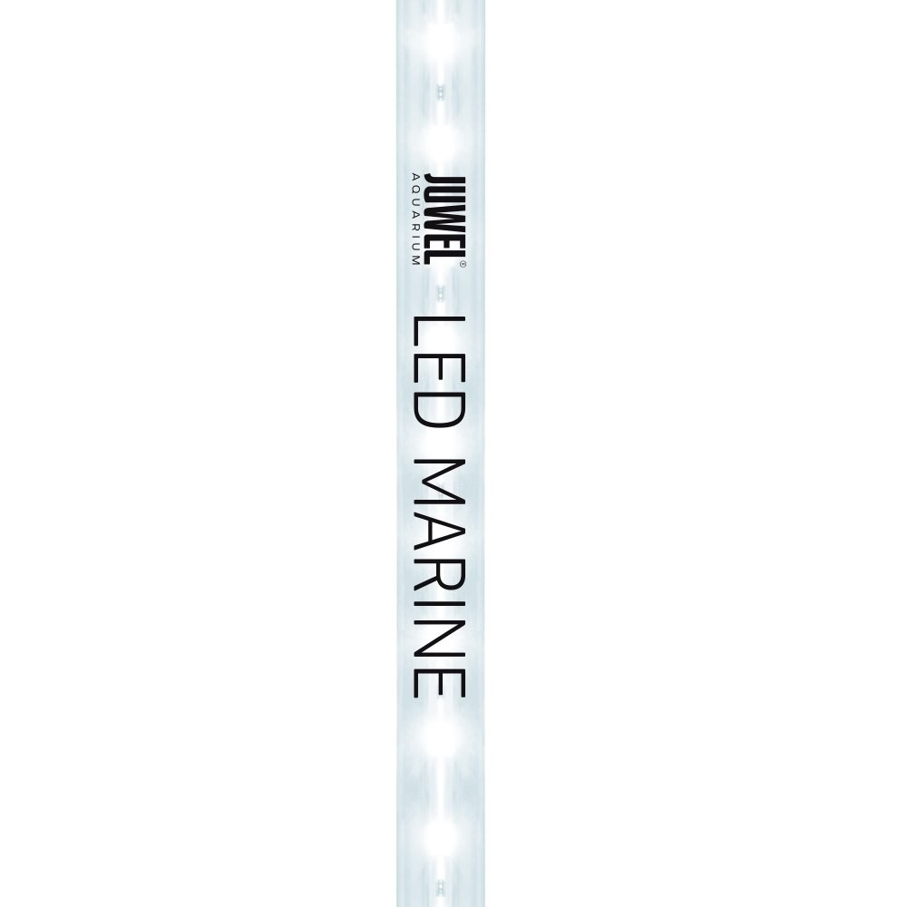 Juwel LED T5 Marine 14000°K Lampada LED per Acquari Juwel - Foto 2 di 7