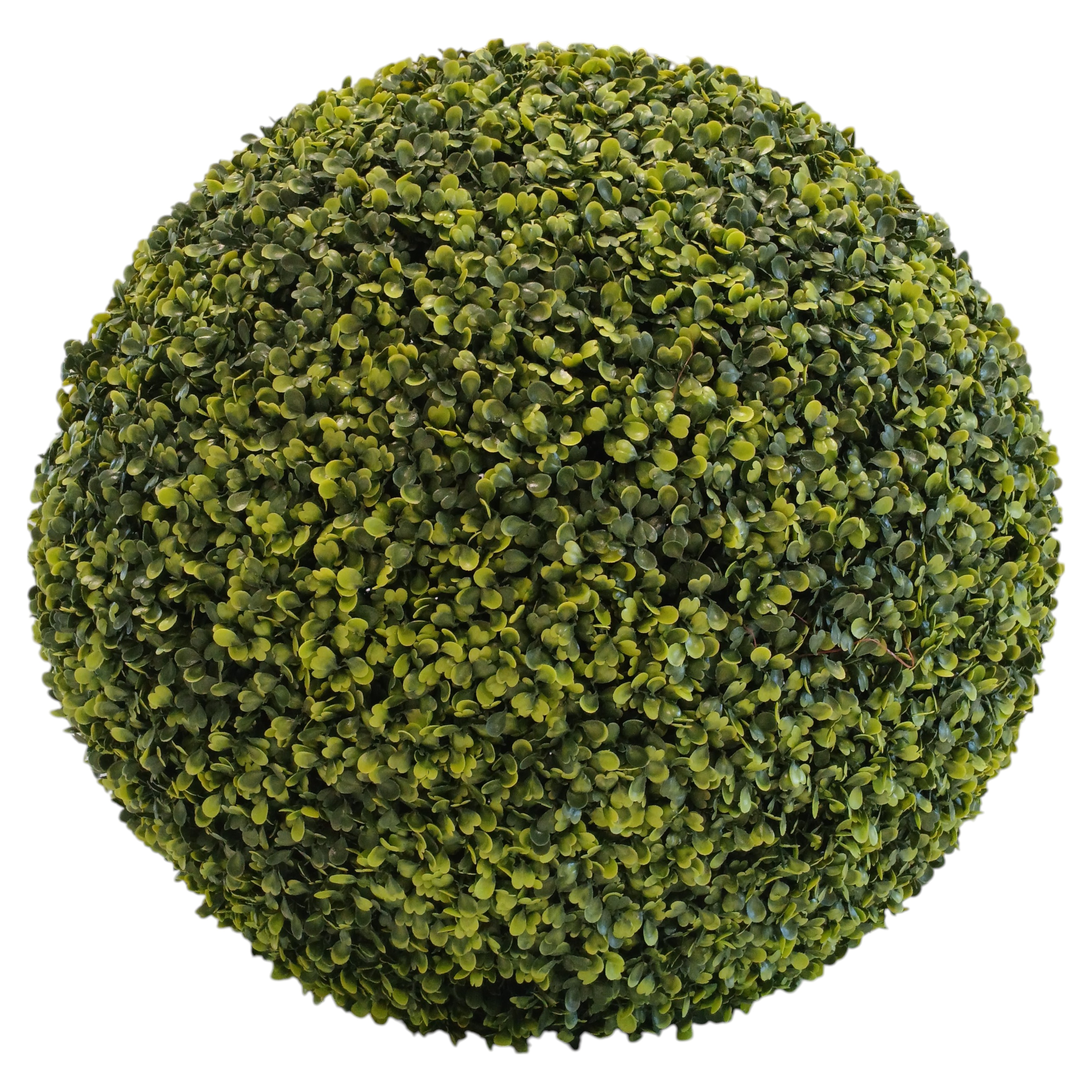 GREENBALL BOXWOOD D.55CM VERDE