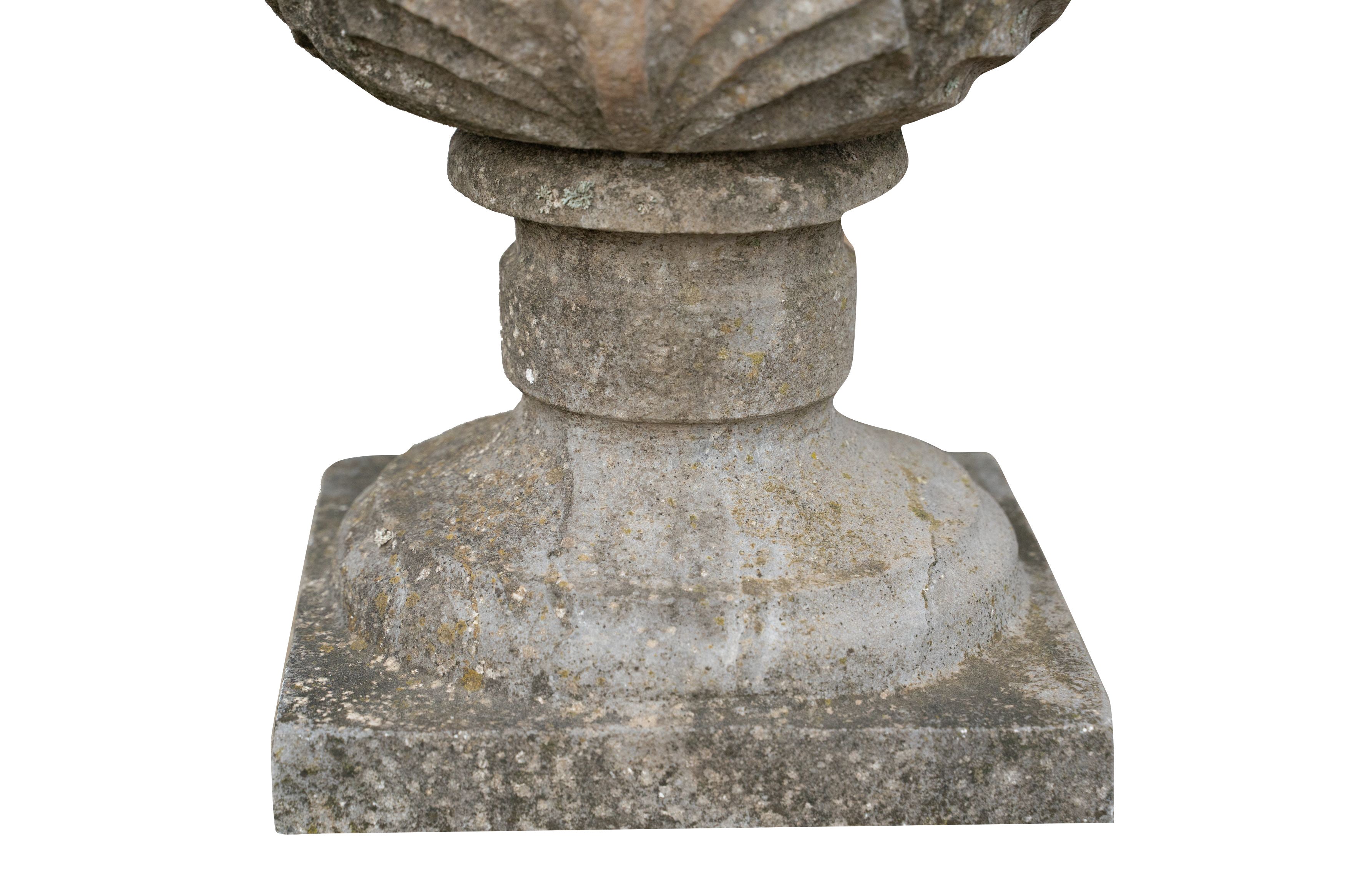 Biscottini Pigna In Pietra Molto Solida Robusta Statua 25X50 Cm Qualità Garantita Nuovo-image