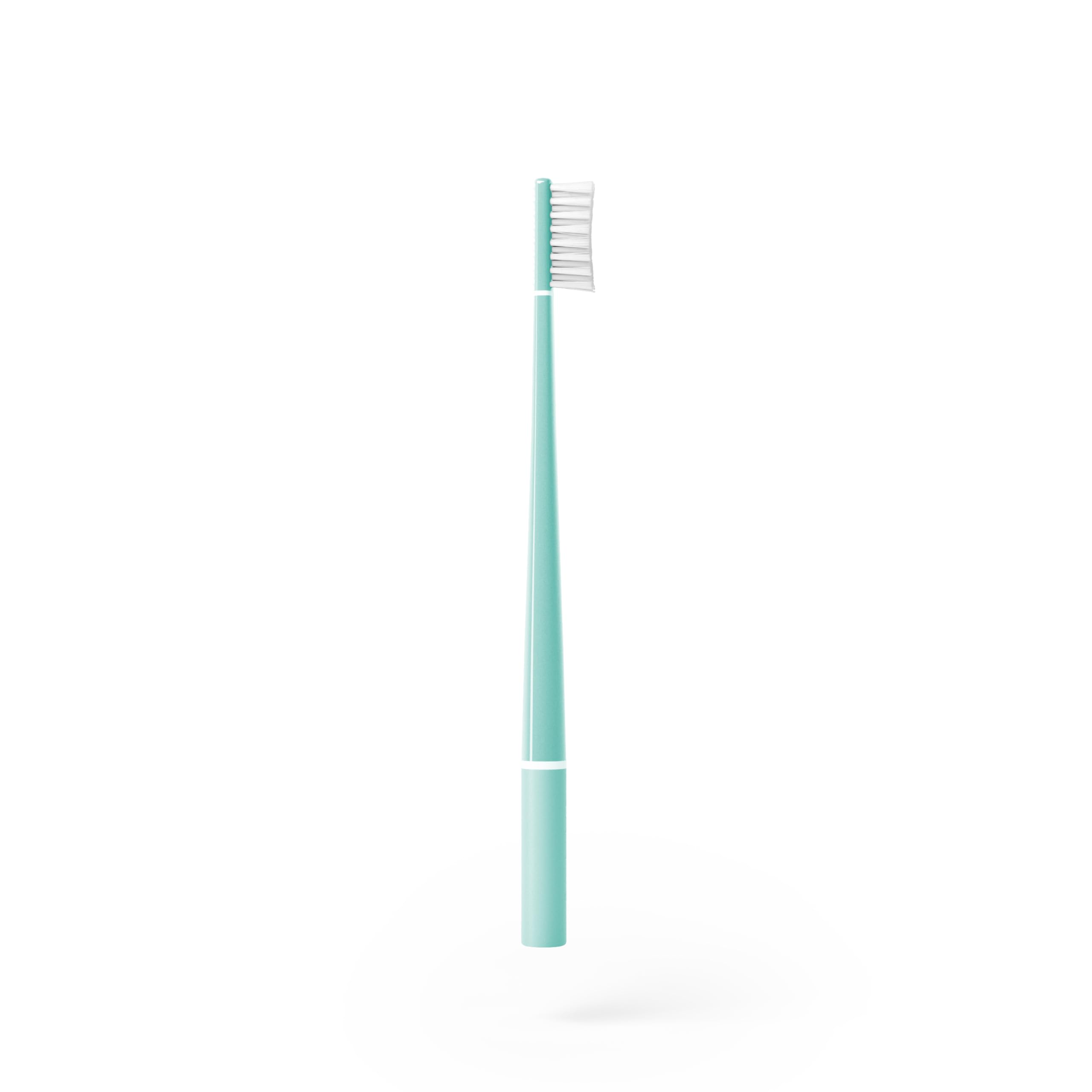 PIU ECHINACEA TURQUOISE