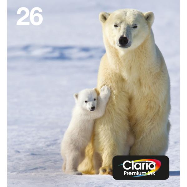 Image of Epson Polar bear Multipack 4-colours 26 EasyMail (EPSON 26 POLAR BEAR MULTIPACK EASYMAIL)