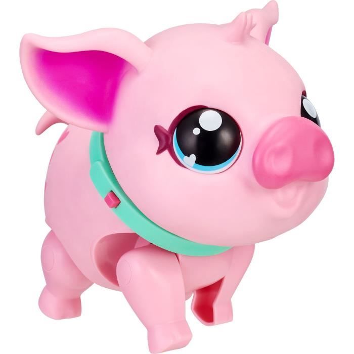 Image of PICCOLI ANIMALI VIVI Maiale