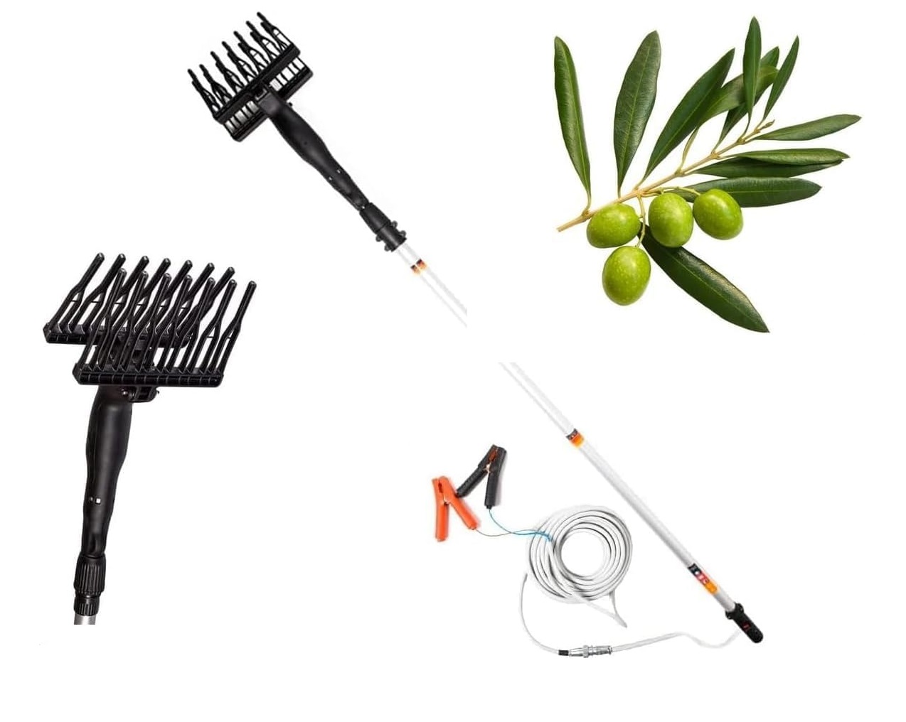 Image of Abbacchiatore e scuotitore elettrico telescopico per olive a batteria 12V 400W fino a 1000 battiti al minuto scuotiolive leggero ergonomico e maneggevole incluso di cavi con morsetto